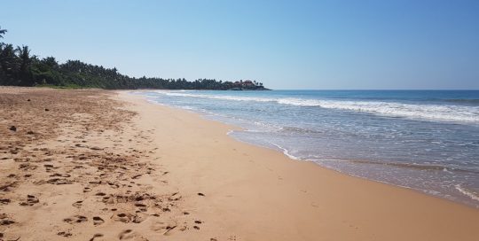 Bentota Beach, Sri Lankas indischer Ozean, mit goldenem Sand