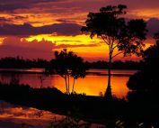 Klarer rot oranger Sonnenuntergang am Natursse von Bentota