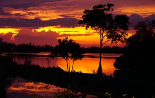 Klarer rot oranger Sonnenuntergang am Natursse von Bentota
