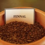 Herbal Demonstration fennel seeds