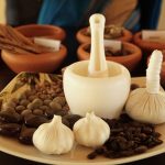 Herbal Demonstration ayurvedic buffet at Villa Raphael Bentota