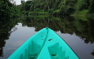 Kajaken in einen Fluss-Arm mit Palmen