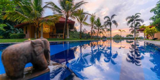 Resort Sri Lanka: Pool mit Palmen