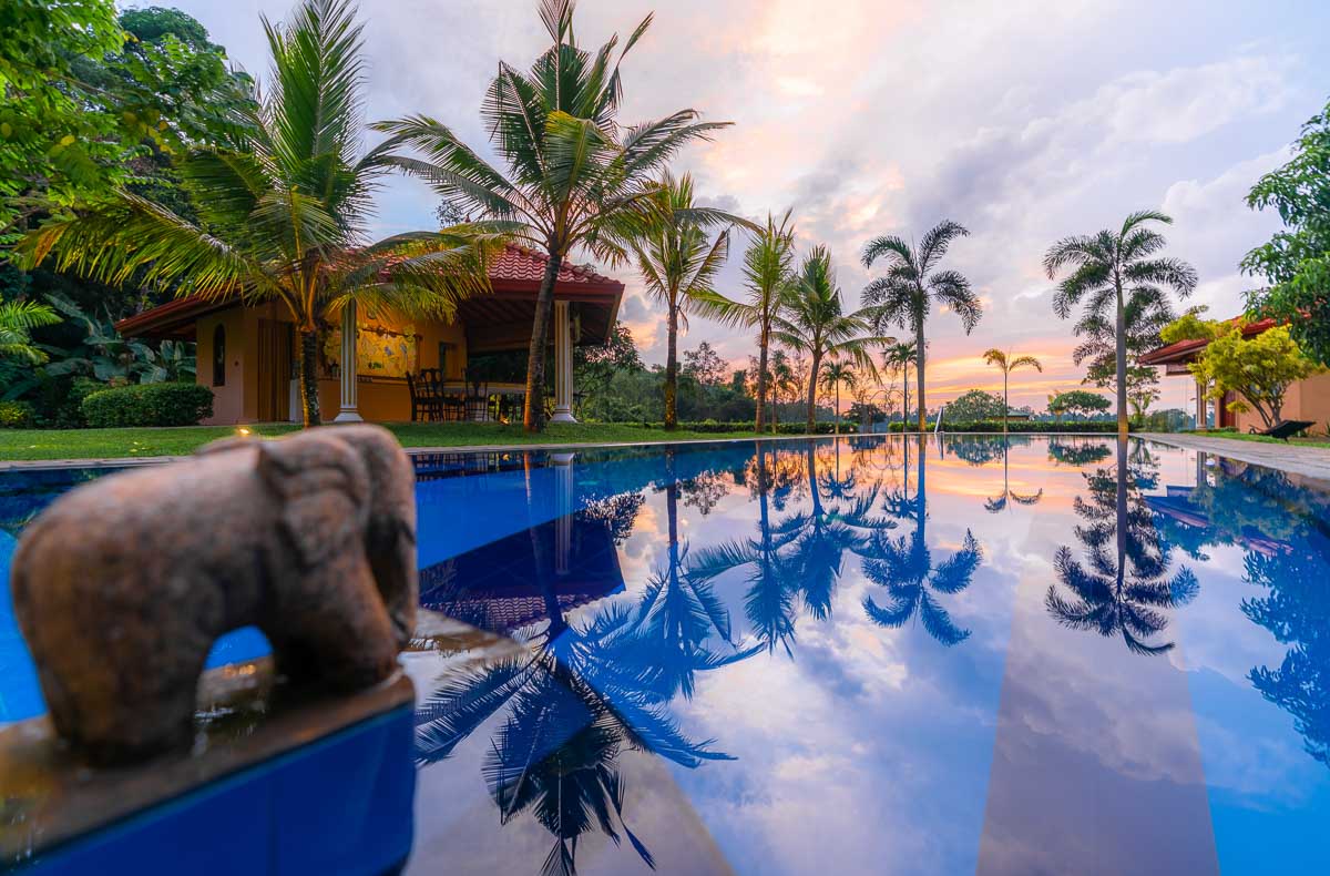 Resort Sri Lanka: Pool mit Palmen