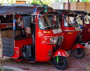 TukTuks stehen für die Fahrt bereit