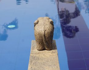 Ayurveda Resort Pool Steinelefant von hinten beim Einstieg des Pools