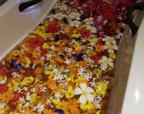 Ayurveda Resort Ayurveda Center Blumenbad Sri Lanka