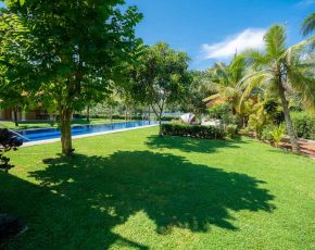 Garten, Gruenanlage mit Palmen und Pool